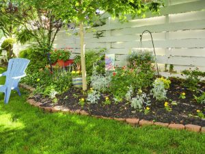 A wide shot of Small garden area.